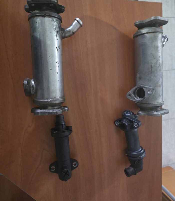 IMG-20250908-WA0021